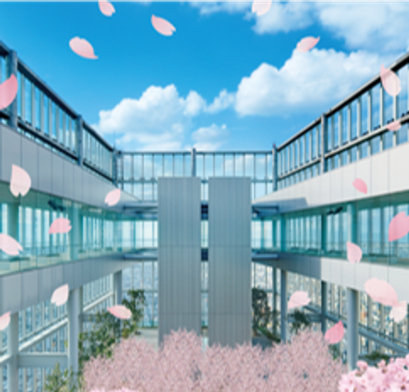 あべのハルカス5周年イベント！　第2弾！！
地上約300mに本物の桜の木が立ち並ぶ！！
天空花見～SAKURA　FESTIVAL～