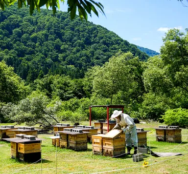 スノーカントリーハニー