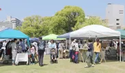 毎月第4土曜に開催されるハンドメイドイベント 「湊川公園手しごと市」。