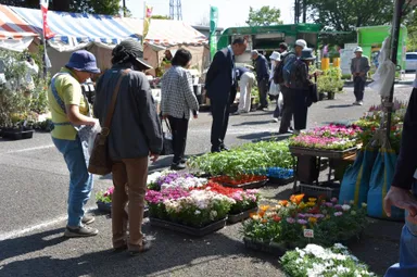 東京都農業祭植木部門