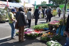 ガーデニング好き必見！「第48回東京都農業祭　植木部門」を神代植物公園で4月20、21日に開催　花の苗を無料配布、園芸資材、植木・花を特別価格で販売