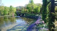 『自然を愛するすべての人へ』軽井沢レイクガーデン2019年は4月19日開園　人気のチューリップの見頃はGW　トップローズシーズンは6月15日から6月30日