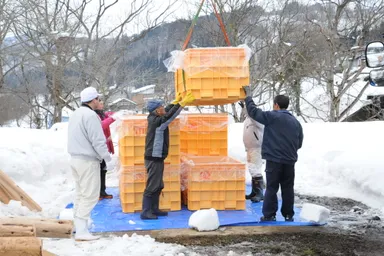 2019年1月15日雪埋め(3)