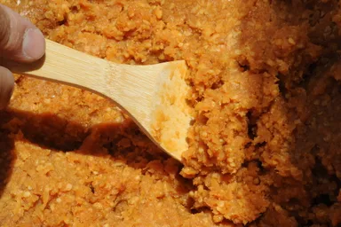 2018年掘出し時(2)