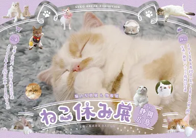 キービジュアル(静岡＆広島)