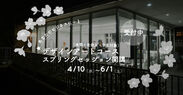 日本で唯一「デザインアート思考(R)」「ロジカルデッサン(TM)」が学べる　御茶の水美術専門学校のデザインアートコース(夜間／社会人・学生対象)が開講
