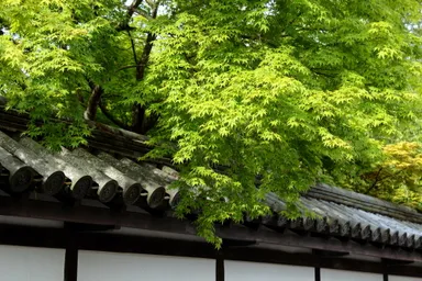 スカイバスツアー(2)