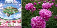 世界最大級の牡丹園「つくば牡丹園」が4月13日(土)より開園！新元号「令和」を花の名前に命名
