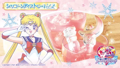 美少女戦士セーラームーンシリコーンアイストレーVol.2