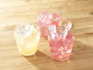 使用イメージ(3)