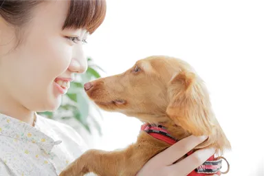 ペットとの共生をめざして