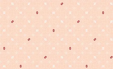 包装紙のデザイン