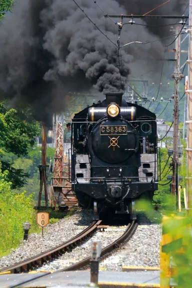 SLパレオエクスプレスイメージ