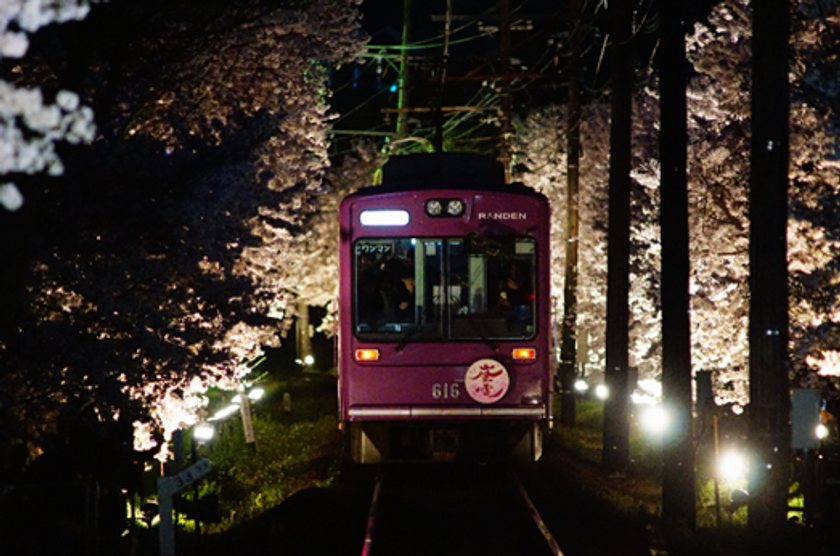 嵐電だけの桜
嵐電桜のトンネルライトアップ実施
◆ 今年は、４月５日（金）から４月７日（日）まで実施。 「夜桜電車」も運行。
◆　今回２０回目の開催。