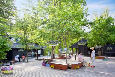 【星野エリア】軽井沢アンブレラスカイ2019　林のパティオ アンブレラカガーデン イメージ