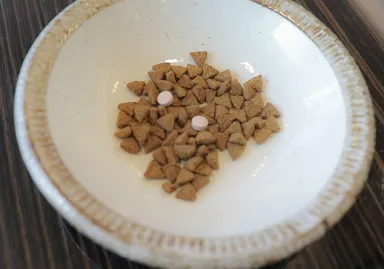 フードにのせる