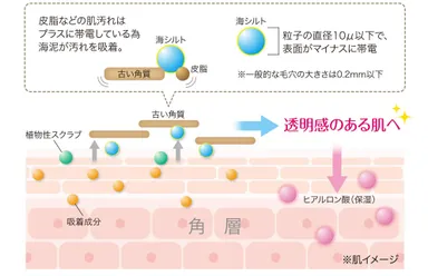 (1)こだわり成分の働き
