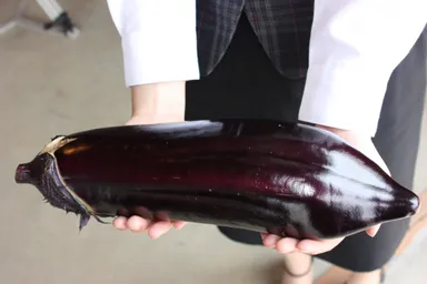 【萩】萩たまげなす