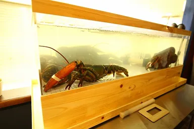 店内に水槽完備で鮮度抜群