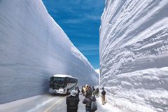 2019立山黒部アルペンルート、白力の雪壁“雪の大谷”を抜けて4月15日全線開通！雪と星が奏でる、春の立山絶景ハーモニーへ