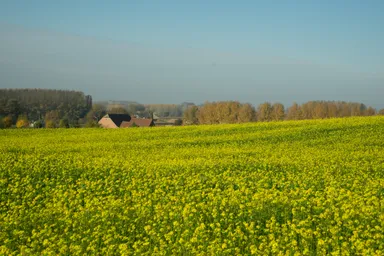 野生酵母が生まれるパヨッテンランド