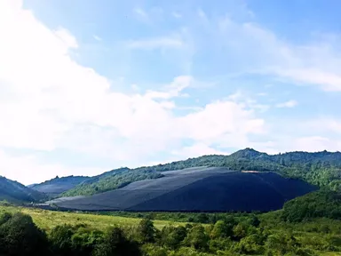 広大な三七栽培面積