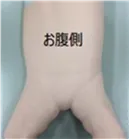 研究の方法 (１)