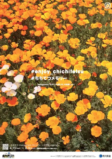 ポスターイメージ(ハナビシソウ)