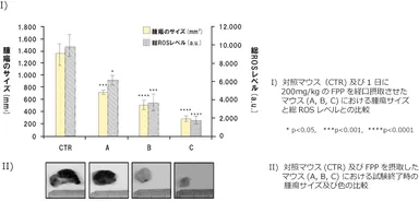 【図2】対照マウス(コントロール)および FPPを毎日摂取したマウス（FPP摂取開始から21日後 (A)、14日後(B)、3日後(C)にメラノーマを移植）との比較