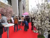 第1弾イベント「桜SAKEフェスタ」開催の様子