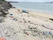 西表島の海岸には、多くの漂着ゴミが