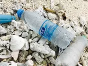 ペットボトルや、各国からのプラスチックゴミが大部分を占める