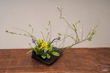 おもてなしの籠