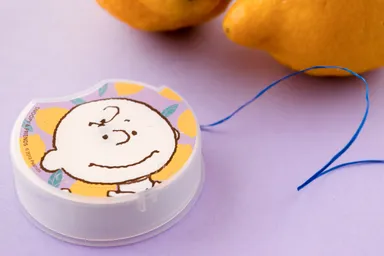 フロスケース(レモン)