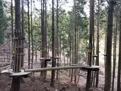 冒険の森 in のせ施設写真