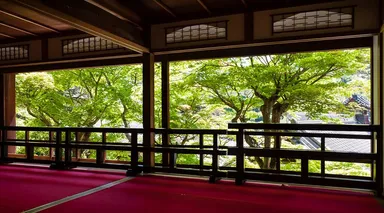 1,200年のロマン感じられる上書院の眺め