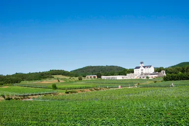 中伊豆ワイナリー外観