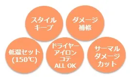 図9.商品ポイント