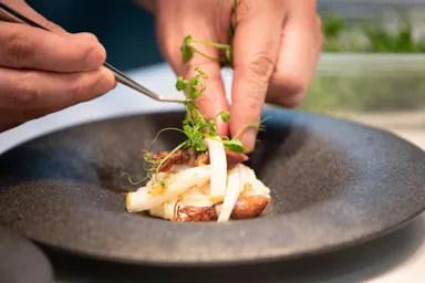 旬の食材をご提供