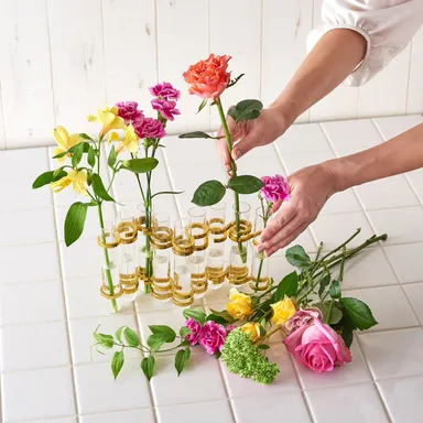 ビィーチィー生ける