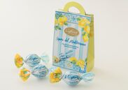 夏におすすめ！ひんやり冷やして美味しい爽やかなレモン風味のチョコレート「クレーマ・ディ・リモーネ」を4月25日(木)より販売