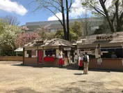 根津神社　甘酒茶屋