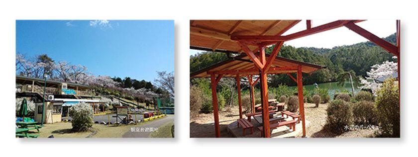 今年は10連休となるゴールデンウィークは
新緑の嵐山‐高雄パークウエイへ!
―野外ステージイベントやバーベキューで思い出をつくりませんか―