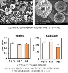 池田糖化、水分散性良好な植物性プロテイン粉末を開発　健康・美容を後押しする『大豆プロテインEZ』を発売