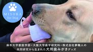 歯学×獣医学の融合で生まれた犬用歯みがきグッズを商品化へ　「MISOKA for Dog」、クラウドファンディングを実施