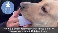 歯学×獣医学の融合で生まれた犬用歯みがきグッズを商品化へ　「MISOKA for Dog」、クラウドファンディングを実施