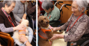 産学連携で、人と犬の触れ合いによる効果を研究　人と犬の双方の幸せホルモン増加を実証　2019年4月12～14日　第15回IAHAIO(人と動物との関係に関する国際会議)で発表