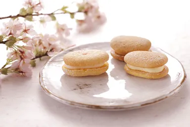 京あわせ 洛○(らくま)