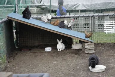 ふれあい動物舎