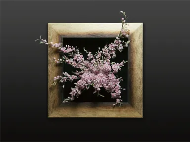 百花繚乱「桜」